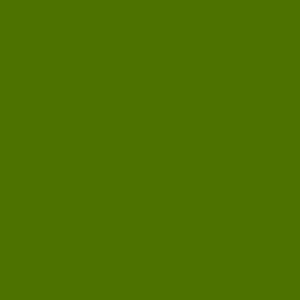 Grass Green Lead & Cadmium Free Glass Enamel 24401